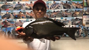 山本と魚